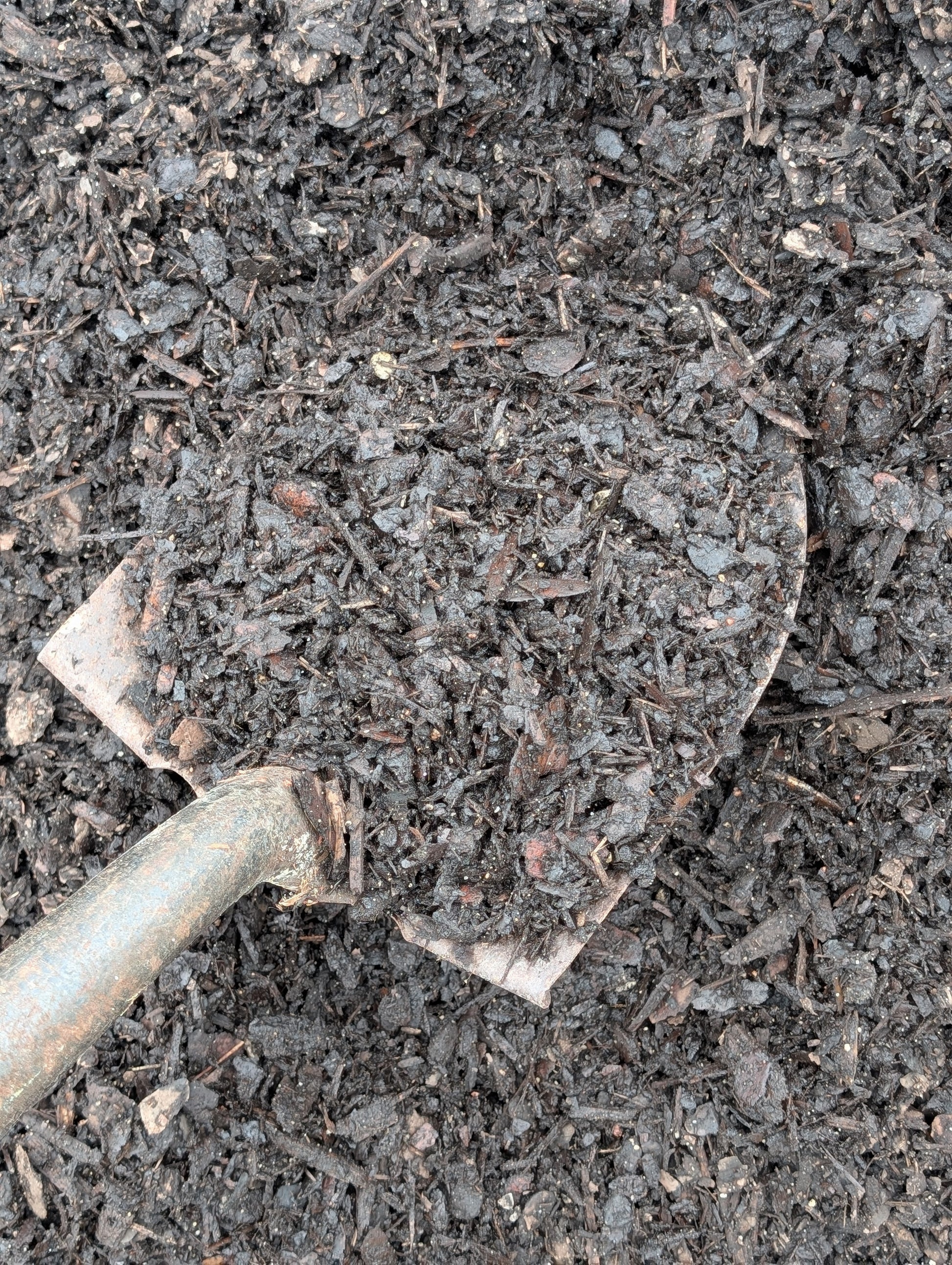Premium Pine Bark