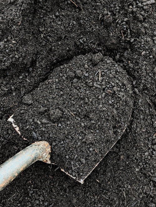 Premium Top Dressing (Organic Blend of “very fine” Screened Peat, Topsoil & mushroom compost)